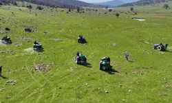 Manisa’da meralara 8,5 tonluk bereket