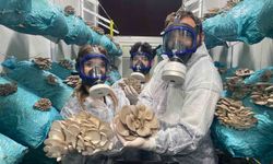 Genç girişimciden dev yatırım: Hedef mantar köyü