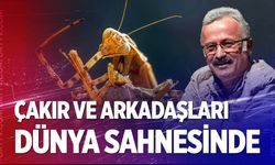 Mehmet Çakır ve TFSF’den büyük zafer: FIAP Mansiyon Ödülü