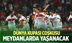 Denizli’de milli heyecan: Dev ekranlar Çınar ve Amfi Park’ta kuruluyor