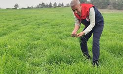 Pamukkale’de tarım alanları mercek altında