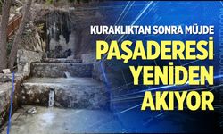 Paşaderesi yeniden akmaya başladı