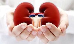 Sağlıklı Böbrek, Sağlıklı Hayat!