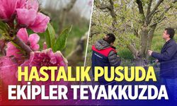 Denizli’de Sarayköy’de bahçelerde sıkı takip