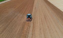 Toprak analizi nasıl yapılır? Tavas Belediyesi’nden uygun fiyatlı hizmet