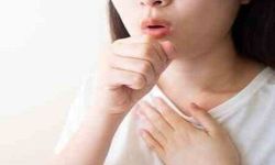 Türkiye’de tüberküloz vakaları 19 yılda yüzde 65 azaldı