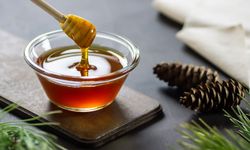 Türk Çam Balını Manuka Balına Rakip Yapacak Proje Hayata Geçiyor