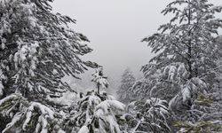 Demirci’de kar yağışı etkili