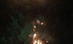 Ormanlık alanda çıkan yangın büyümeden söndürüldü