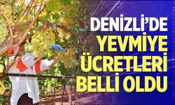 Denizli’de yevmiye ücretleri belli oldu