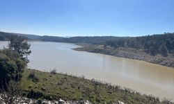 Derbent Barajı’nda su seviyesi zirvede