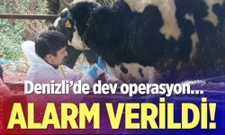 Denizli’de şap hastalığına karşı savaş açıldı…