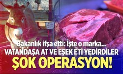Vatandaşa at ve eşek eti yedirdiler!