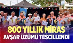 Avşar Üzümü’ne coğrafi işaret: 800 yıllık miras tescillendi