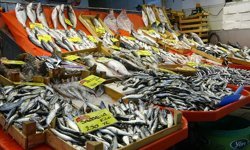 Balık tezgahları kış aylarını aratmıyor