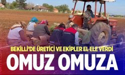 Bekilli’de üretici ve ekipler el ele verdi, fidan dikti