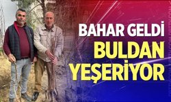 Buldan'ın bereketli toprakları fidanlarla canlanıyor