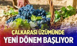 Çalkarası Üzümünde yeni dönem başlıyor