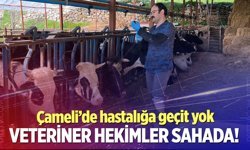 Çameli’de hayvancılığa aşı kalkanı