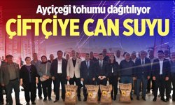 Denizli’de yüzde 50 hibeli ayçiçeği tohumu dağıtımına başlandı