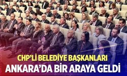 Şeniz Doğan belediye başkanları buluşması’nda