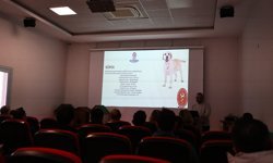 Denizli Büyükşehir’den Pet Shoplara eğitim desteği