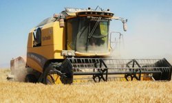 Çal’da rekor destek! Üreticiye 105 milyon TL’lik can suyu