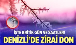 Denizli'de don uyarısı: Üreticiler için kritik süreç başlıyor!