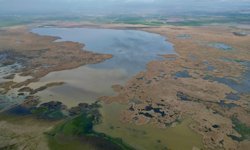 Eber Gölü'nde sevindiren gelişme