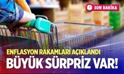 Son dakika! Enflasyon rakamları açıklandı…