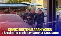Firari Türk müteahhit Tayland'da yakalandı