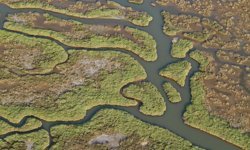 Gediz Havzası’nda kirlilik artıyor