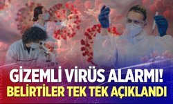 Gizemli virüs alarmı!