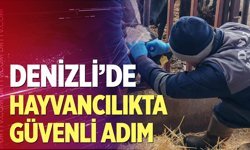 Denizli'de hayvancılıkta güvenli adım