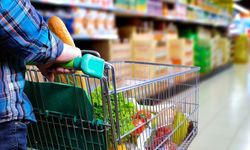 Hekimsen: Asgari ücret, açlık sınırının altında kalıyor