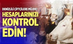 Denizlili çiftçilere müjde!