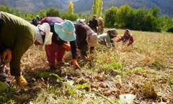 Tarımda dev destek dönemi: %70 hibe müjdesi!
