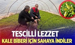 Kale Biberi için sahaya indiler