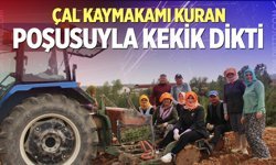 Poşusunu takan Kaymakam Kuran kekik dikti