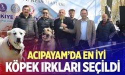 Ucarı Göl Park’ta şampiyona heyecanı