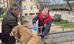 Beyağaç’ta kuduz seferberliği