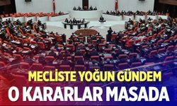 Meclis'te yoğun gündem: Doğum izni ve sosyal medya kısıtlaması masada
