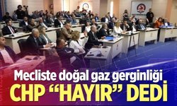 Mecliste doğal gaz gerginliği