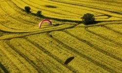 Paramotorlar sarı tarlaları gezdi