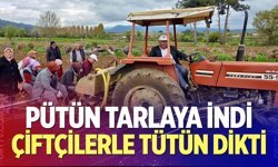 Beyağaç’ta tütün sezonu başladı: Başkan Pütün üreticilerle tarlada