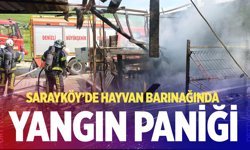 Sarayköy’de hayvan barınağında yangın paniği