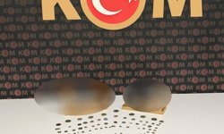 Tarihi eser operasyonunda bir kişi gözaltına alındı