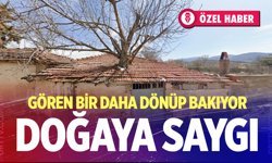 Denizli’de evin ortasında yetişen ceviz ağacı görenleri hayran bırakıyor