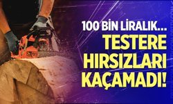 Testere hırsızları kaçamadı!