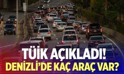 Denizli’de Kaç Araç Var?  TÜİK açıkladı